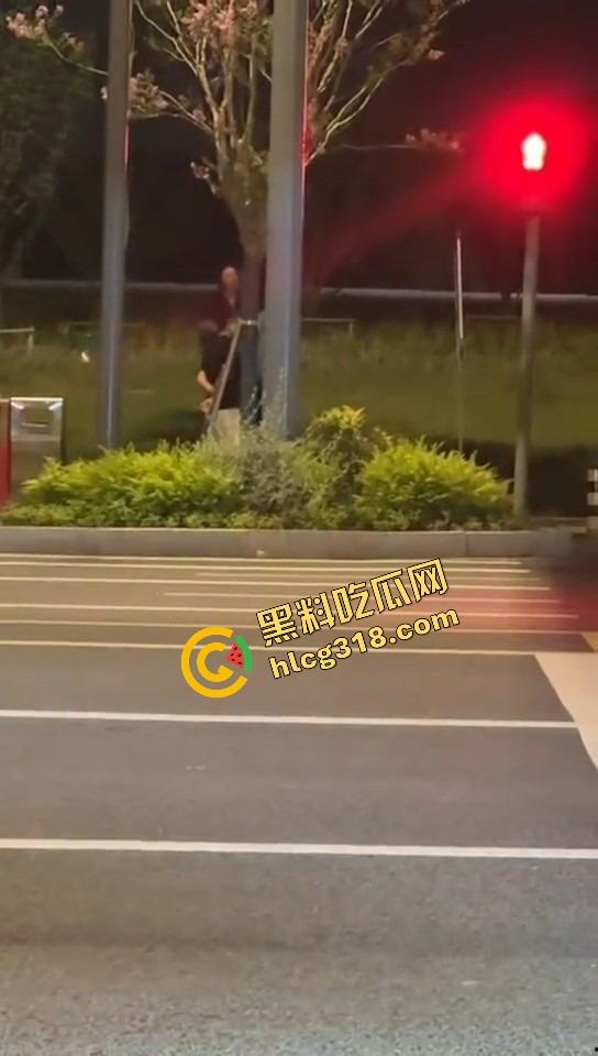 苏州石湖抓奸,小姑子偷情姐夫当街喊老公,亲姐怒吼开撕你喊得真顺嘴啊!-7