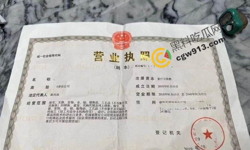福建女总裁陈凤琴的淫荡人生：白天霸气总裁，晚上豪掷千金点男模陪玩，喜新厌旧，淫靡不堪
