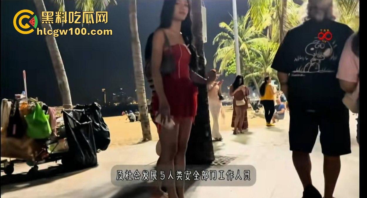 芭提雅警方突击行动,进口车遭盘查,大批外国女子椰树下被逮,泰国自由天堂的背后另有隐情?-2