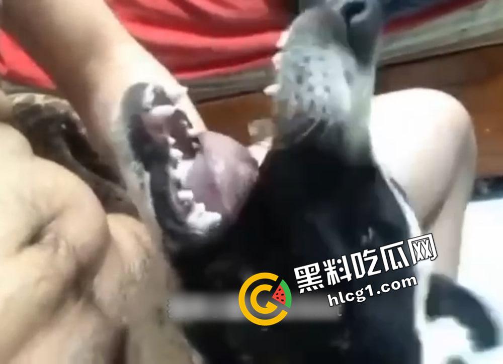 变态人兽！逆天已经无法形容这群人了 兔子飞机杯 鲤鱼阳具 狗都要开发肛门-2