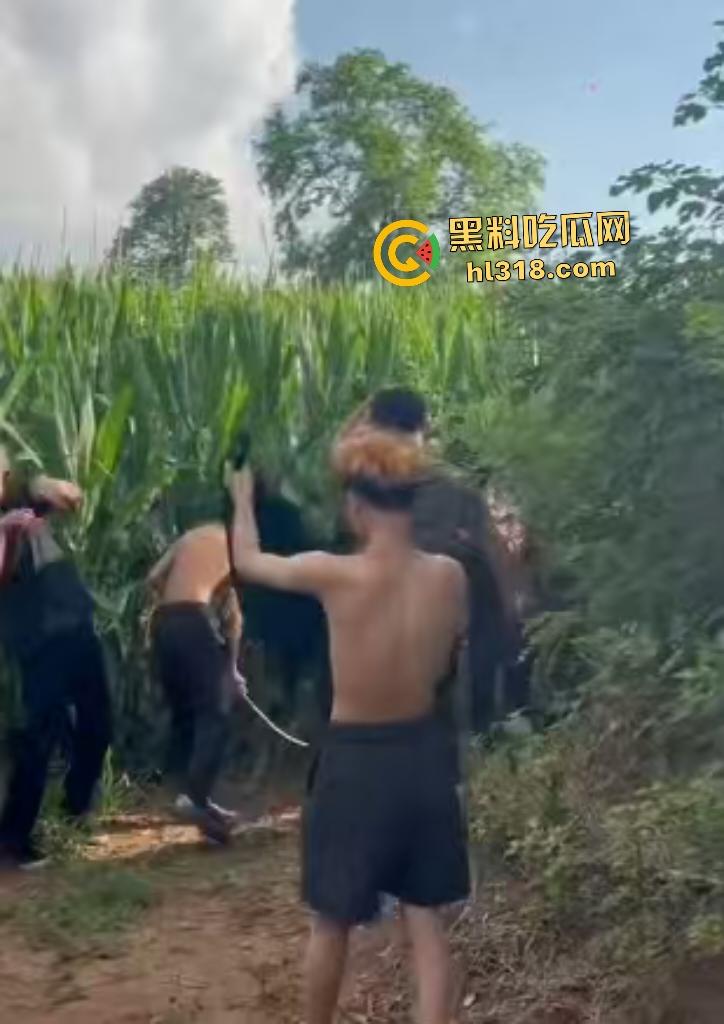 河北邢台精神小伙们因男生考试不给抄答案直接拉到树林旁暴揍,一旁拍照女生还说好帅啊!-2