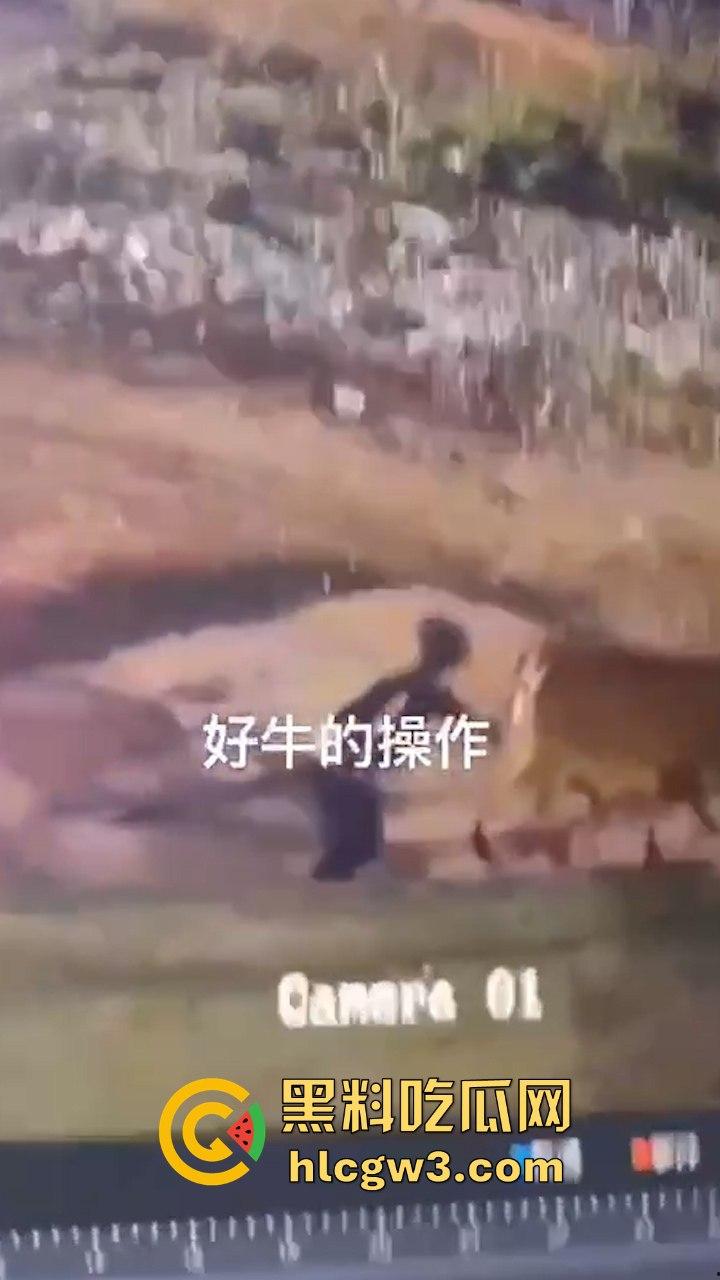 真实操兽：饥渴小哥不吹牛逼操牛逼 拔屌暴插大母牛 省钱免费逼还大 论狠人你是第一人！