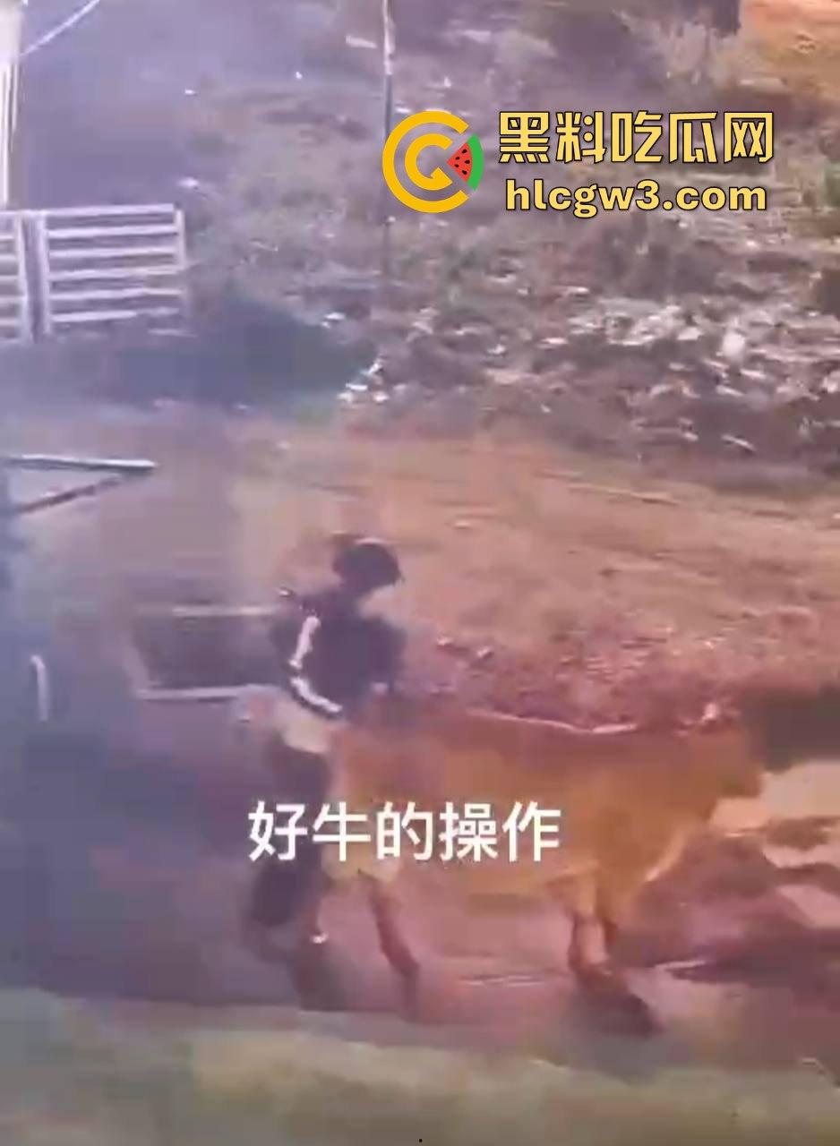 真实操兽:饥渴小哥不吹牛逼操牛逼 拔屌暴插大母牛 省钱免费逼还大 论狠人你是第一人!-6