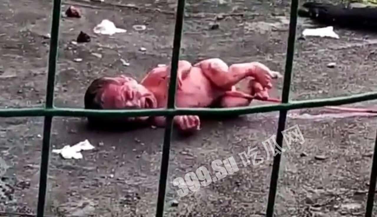 #弃婴 谁家小孩?脐带还连着就被从楼上扔下 网传#广西工业职业技术学校-2