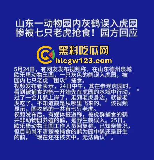 山东德州欧乐堡惊现一只大鹤误入虎区，七虎围成战术扇形现场1V7，最后成了热菜！