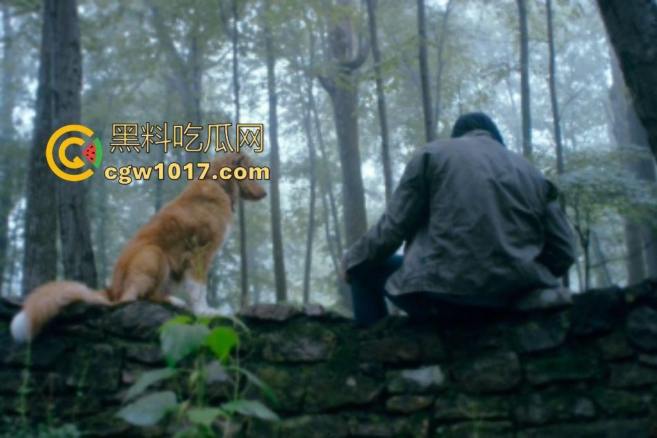 电影【好狗狗】，乡下老宅鬼影幢幢印第狂吠撕咬恶灵，邻居猎人装妖魔潜伏，忠犬搏命救主，真是条好狗狗！-3