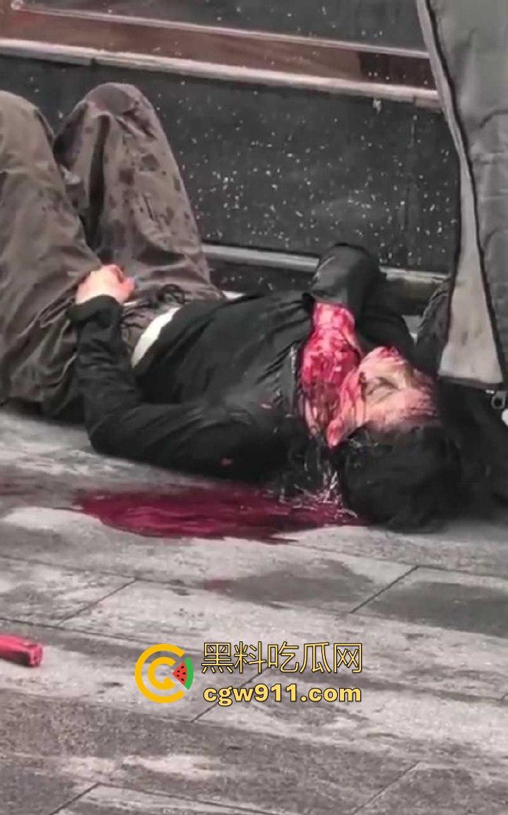 现在的人怨气实在是太重了,河南郑州凶手驾车撞伤女子,将其捅死随后当场自杀身亡,画面血腥胆小慎入!-5