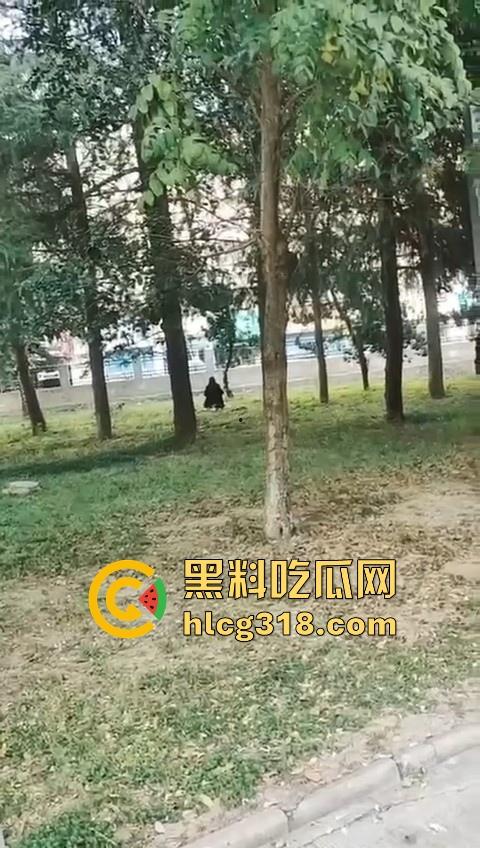 高颜值情侣公园草地野战！女上男下疯狂骑乘，精虫上脑了直接无视众人就是干呗！-3