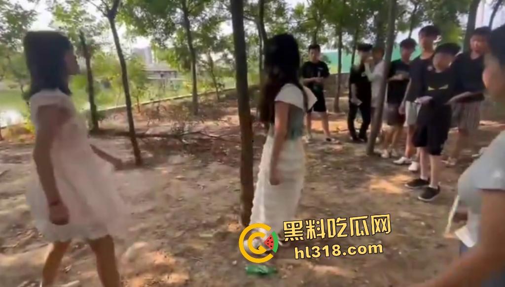 河南树林惊爆霸凌事件!精神小伙小妹群殴弱女,用手打还嫌手痛,最后直接用脚踹,腰都快要闪到了!-3