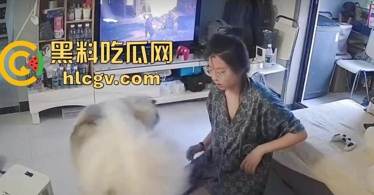 阿拉斯加趁女主人换手柄扑上去玩后入想日逼!妹子挣扎半天脱身,气得直发火!-3