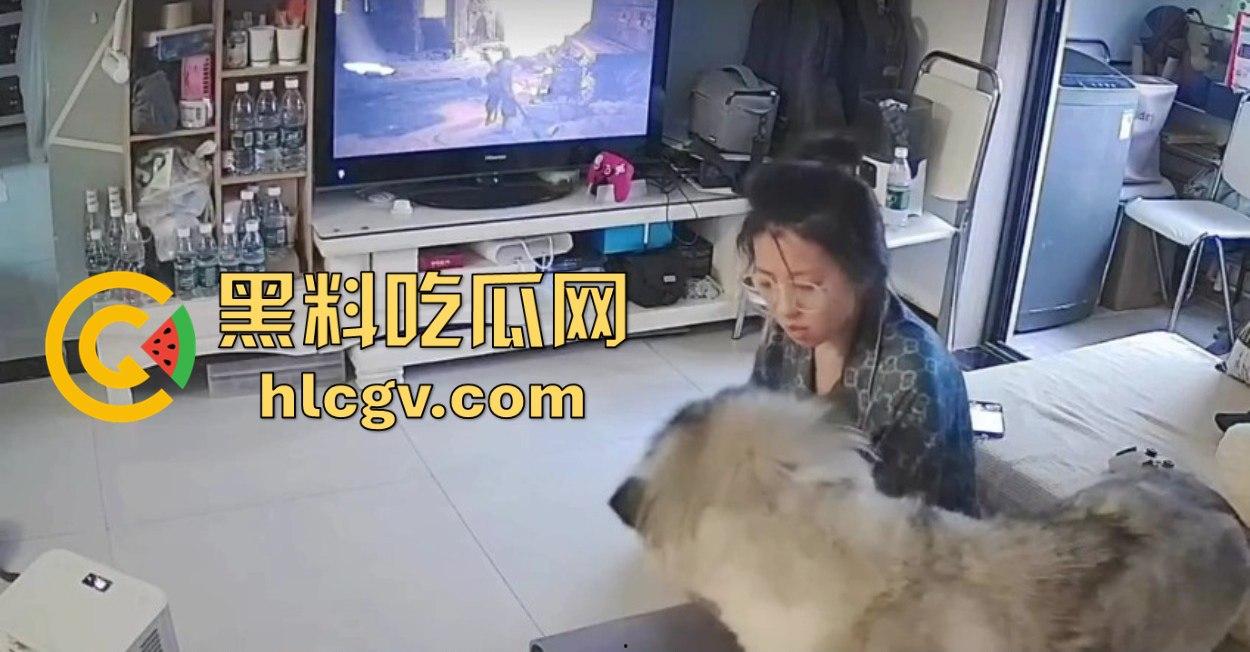 阿拉斯加趁女主人换手柄扑上去玩后入想日逼!妹子挣扎半天脱身,气得直发火!-8