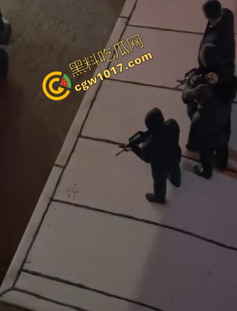 惊讶!宝清市街头惊现巨熊,警察开枪击毙,血洒街头,网友热议动物保护与城市安全!-3