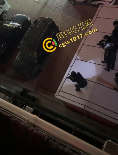 惊讶!宝清市街头惊现巨熊,警察开枪击毙,血洒街头,网友热议动物保护与城市安全!-4