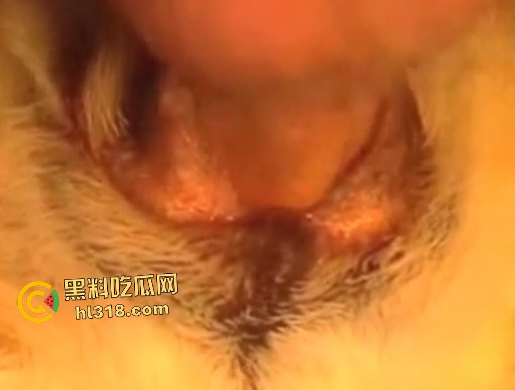 狂野男人与忠犬上演人兽激情!人与狗交欢,传教士式把狗压在身体下,这才是真的操母狗!-3