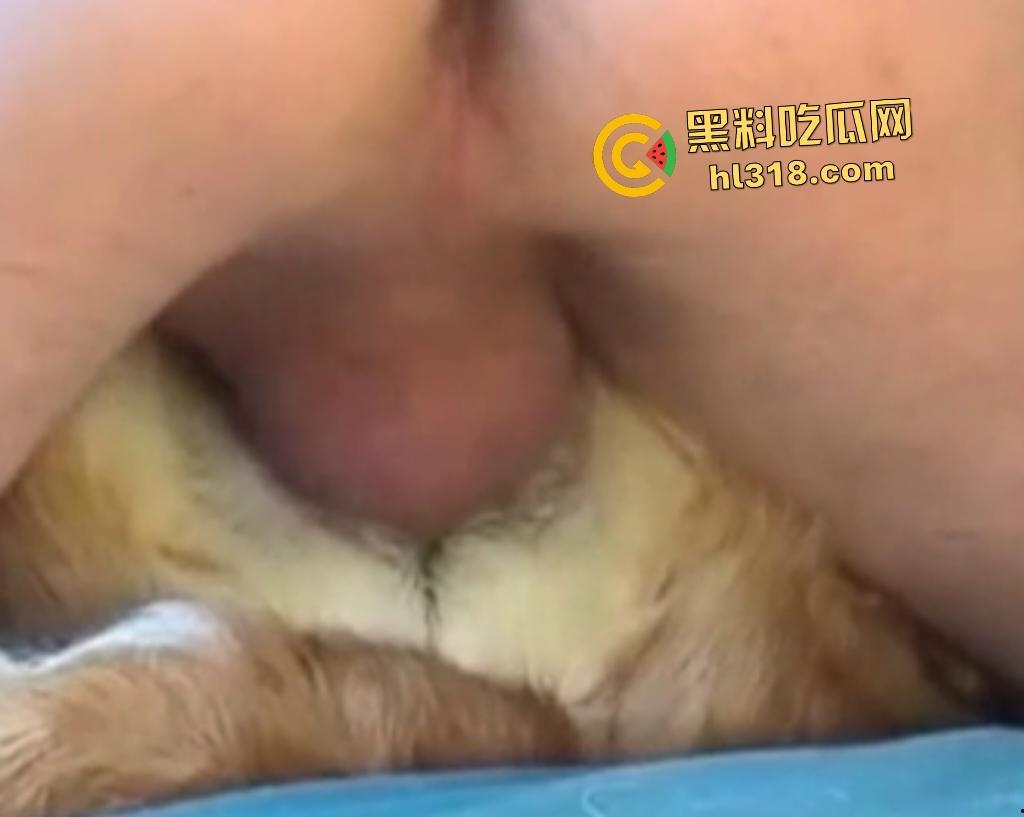 狂野男人与忠犬上演人兽激情!人与狗交欢,传教士式把狗压在身体下,这才是真的操母狗!-5