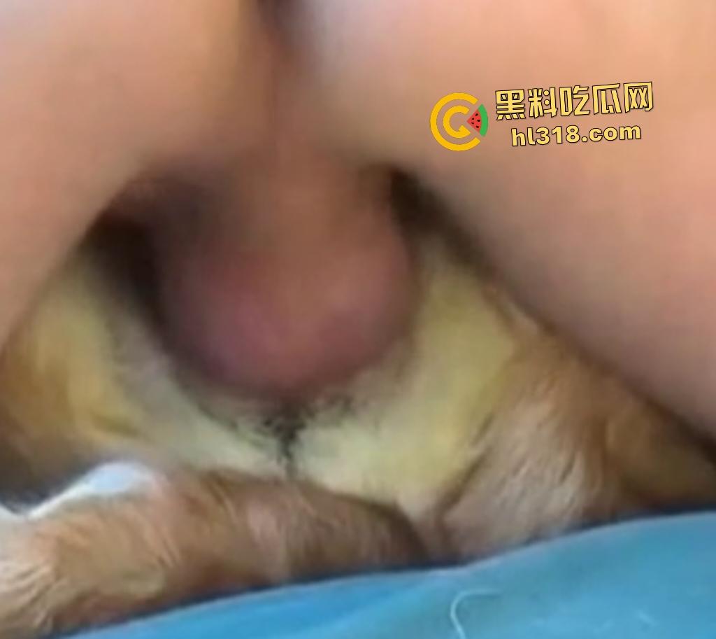 狂野男人与忠犬上演人兽激情!人与狗交欢,传教士式把狗压在身体下,这才是真的操母狗!-6